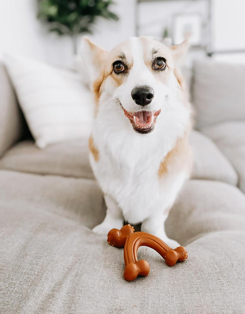 Load image into Gallery viewer, Wishbone Dog Chew Toys for Adult Dogs and Puppies
